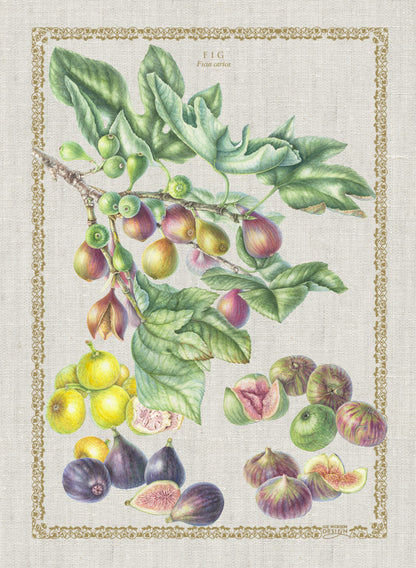 Tea Towel Figs - Linen