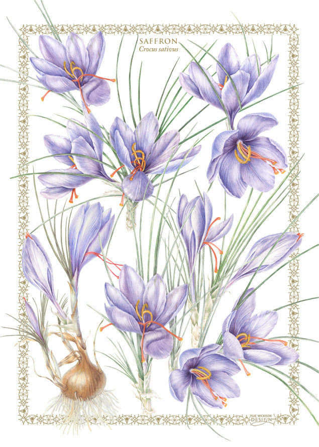 Tea Towel Saffron - Cotton