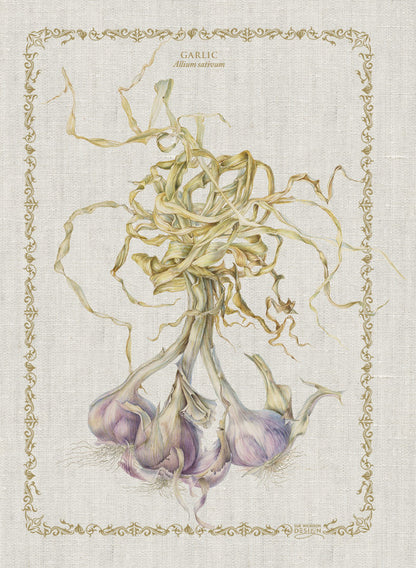 Tea Towel Garlic - Linen