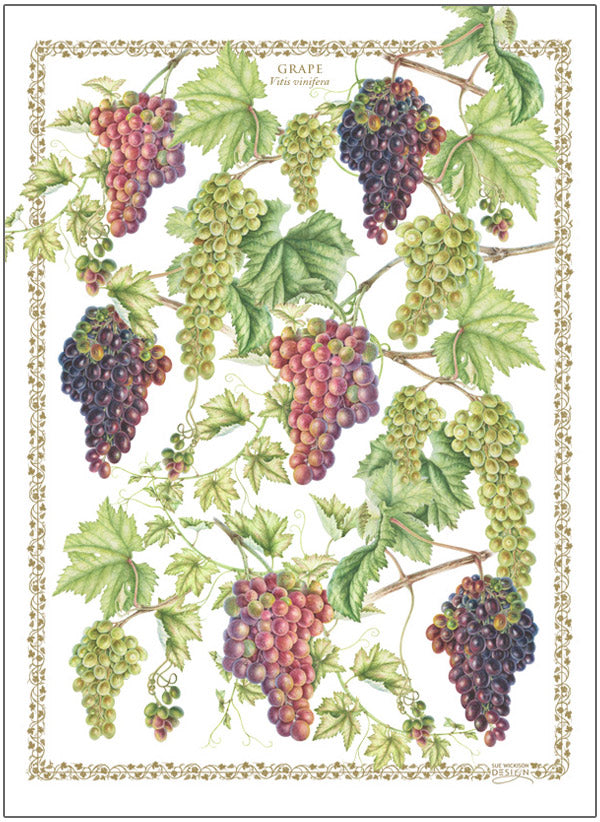 Tea Towel Grapes - Cotton